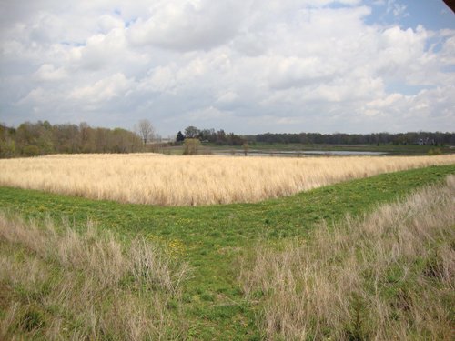 Property photo 7 - 114+/- Acres Offered in 4 Tracts